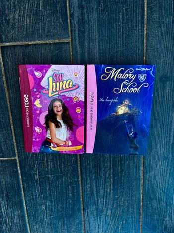 Lot Livres Bibliothèque Rose pour Filles