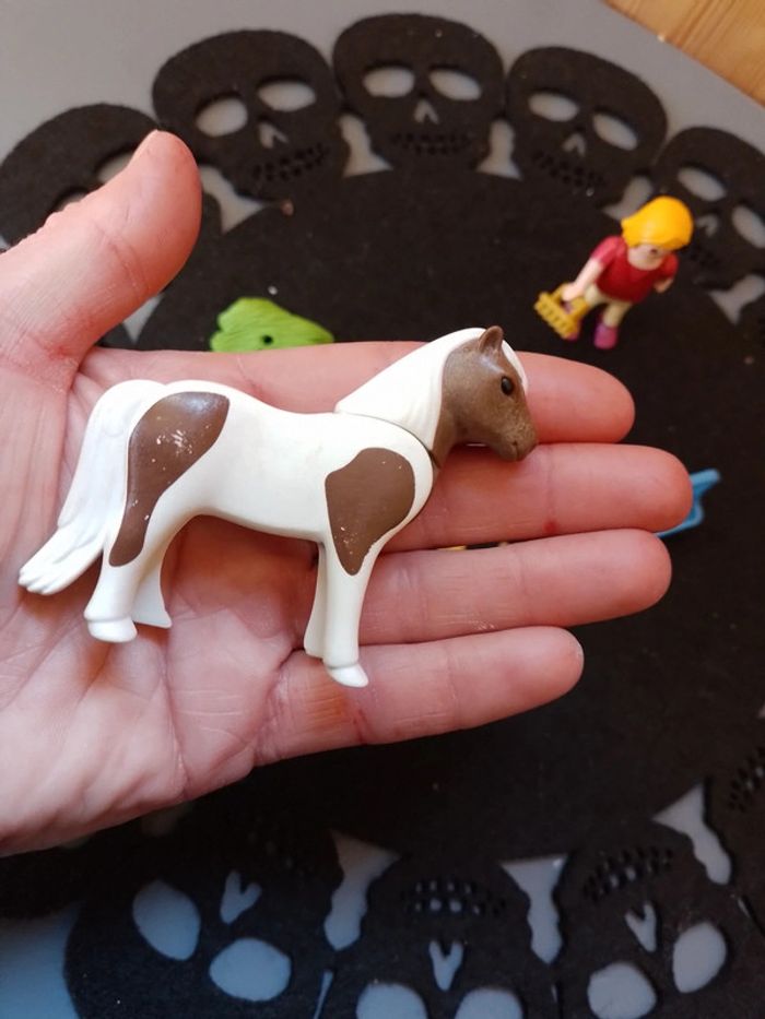 Playmobil enfant avec poney ref 5291 - photo numéro 6