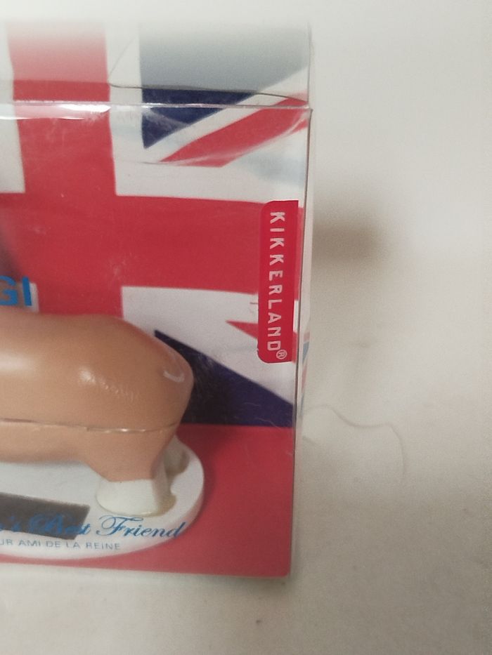 Solar Corgi - Kikkerland - photo numéro 3