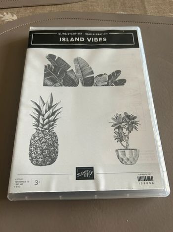 Tampons Stampin’up! Island Vibes