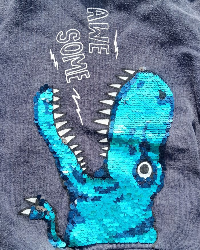 Sweat à capuche - photo numéro 2