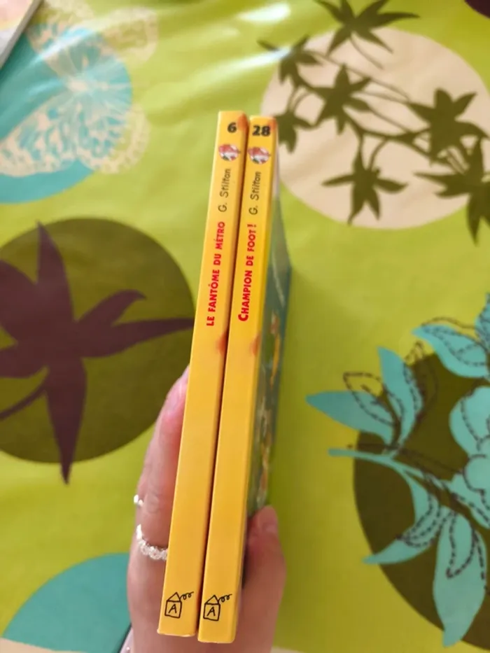 Lot livres Geronimo Stilton - photo numéro 8
