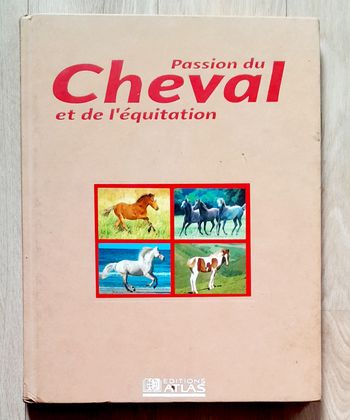 Passion du cheval et de l'équitation