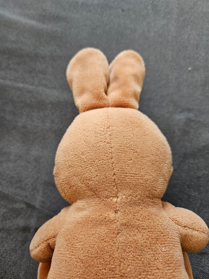 Lapin - photo numéro 3
