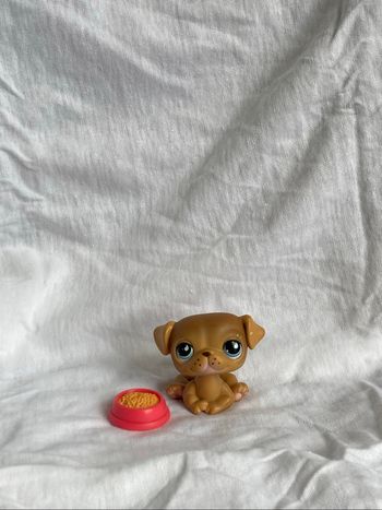 lps carlin