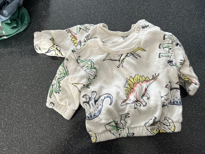 Pull dinosaure