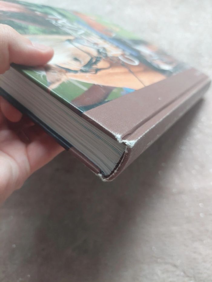 Livre chevaux - photo numéro 3
