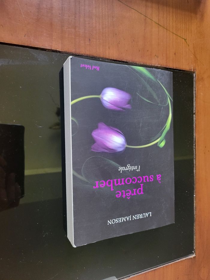 Livre prête à succomber - photo numéro 2