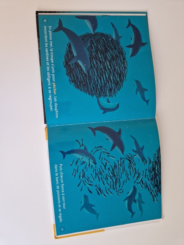 Livre mes petits docs les dauphins - photo numéro 2