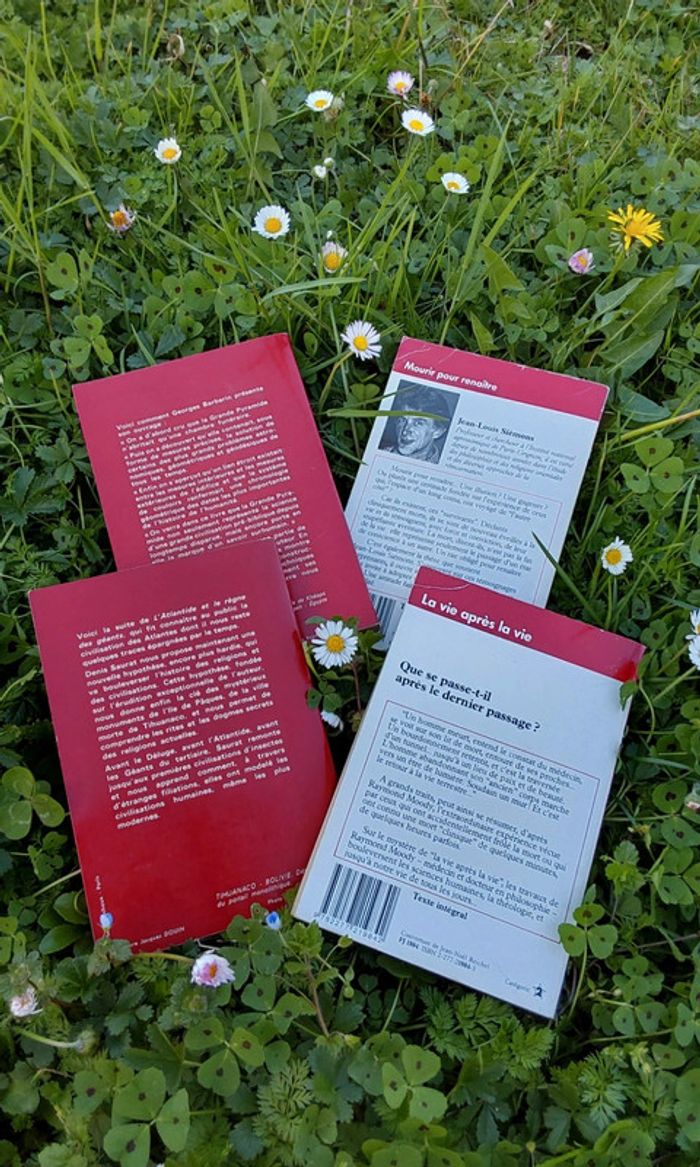 Lot de 4 livres Aventure Mystérieuse - photo numéro 3