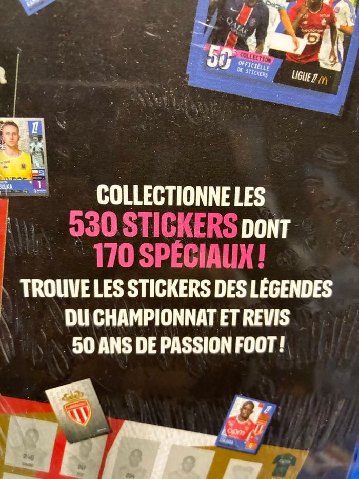 54 sachets Foot 50 collection Panini - photo numéro 10
