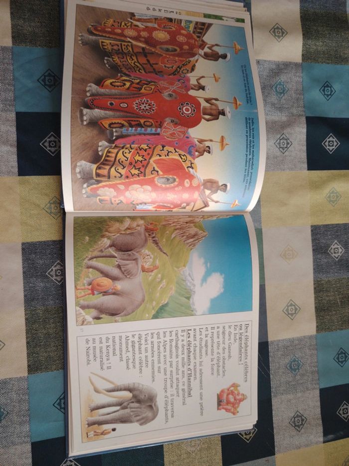 Livre sur l'éléphant - photo numéro 9