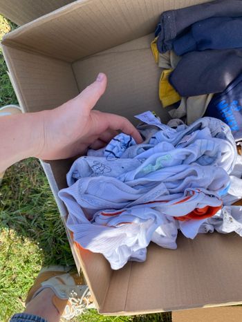 Lot 13 bodys manche longues