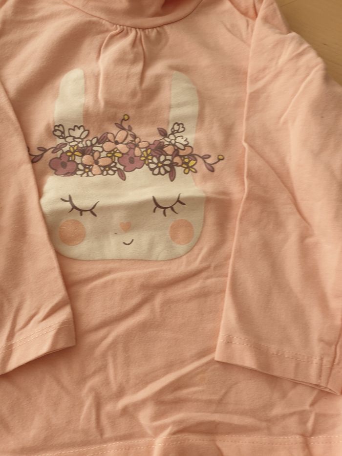 Lot 2 hauts manches longues 24 mois - photo numéro 3