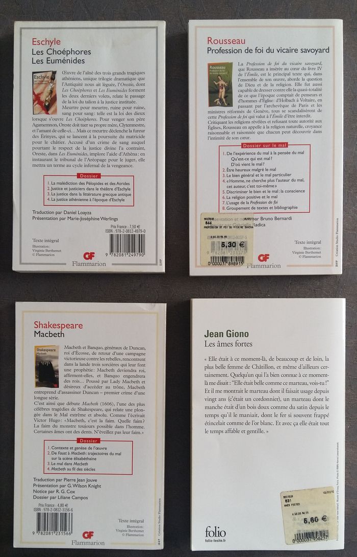 📚 Lot LIVRES roman littérature et philosophie - photo numéro 6