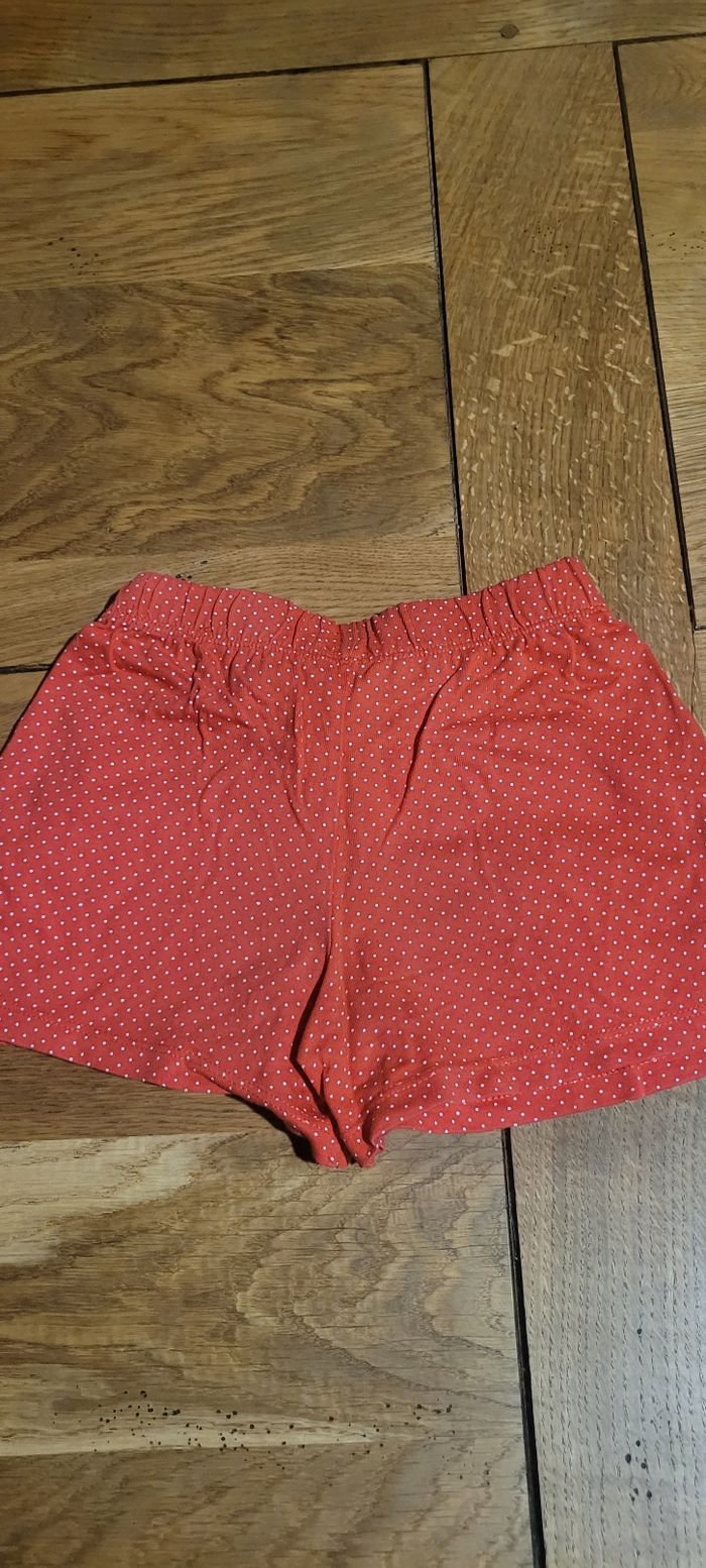 Short fin - photo numéro 5