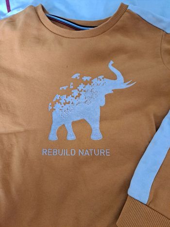 Pull 5 ans Okaidi