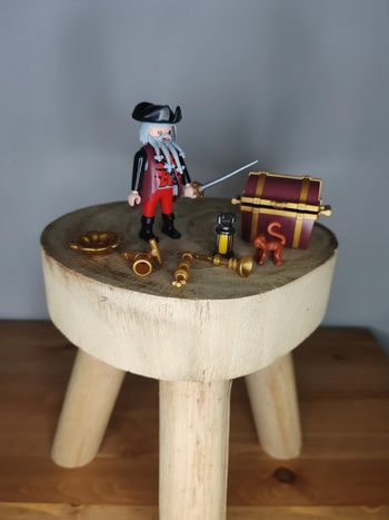 Flibustier 4783 Playmobil