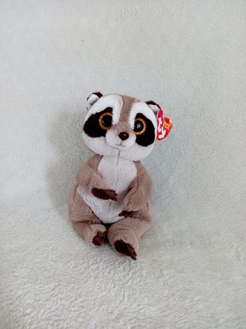 Peluche doudou raton laveur Ty 