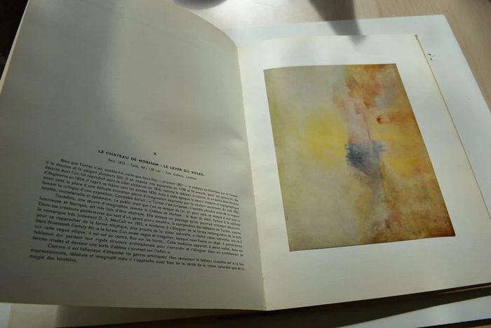 Turner - photo numéro 7