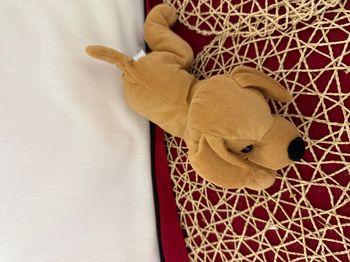 DOUDOU PELUCHE CHIEN NICOTOY MARRON BEIGE NEZ NOIR