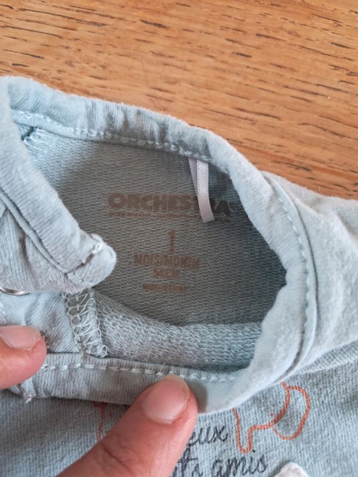 Ensemble Orchestra 1 mois - photo numéro 3