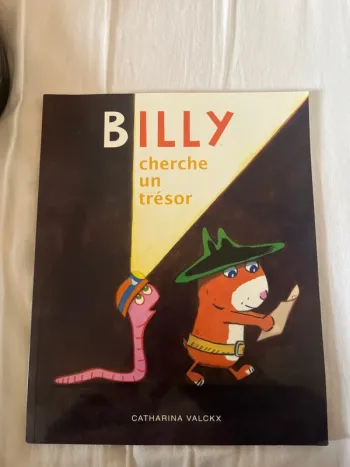 Livre Billy cherche un trésor