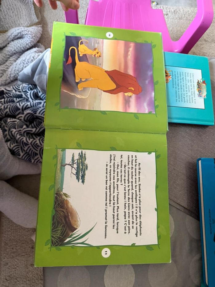 Les plus belles histoires d animaux - photo numéro 5