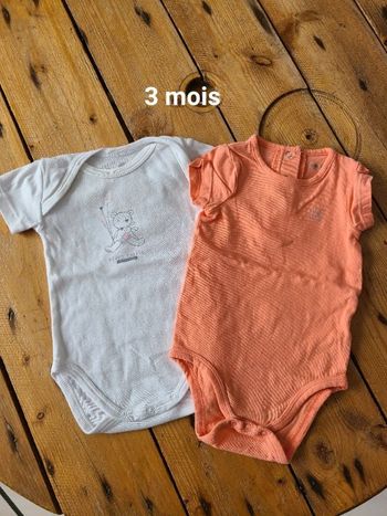 Lot 2 bodies