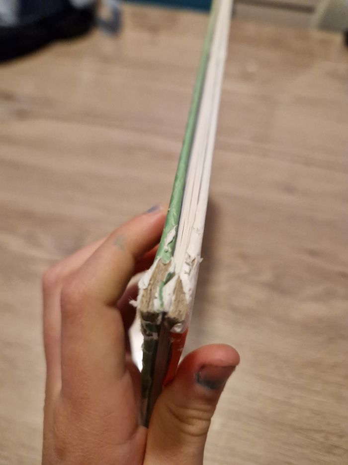 BD bienvenue chez les loud - photo numéro 3