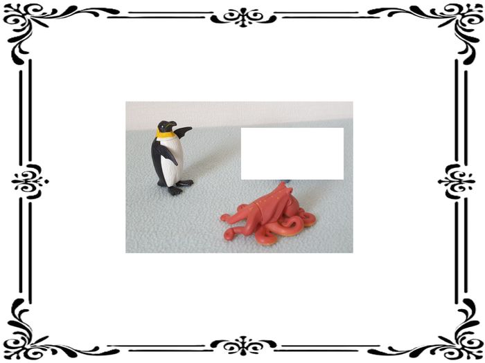 Animaux marins. - photo numéro 2