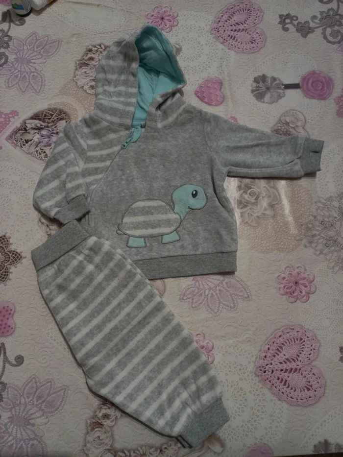 Ensemble tortue