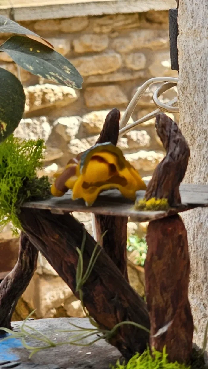 Super figurine Pokemon Nintendo finger puppet Kadabra - photo numéro 3