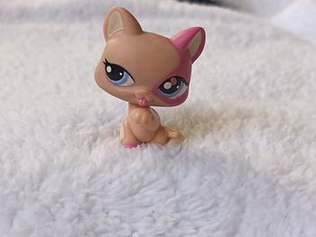 Littlest Pet Shop #1402 - Chat Chartreux Rose & Beige