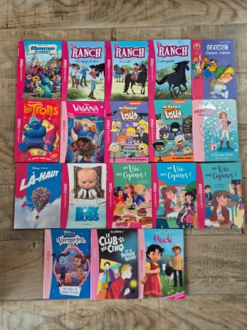 Lot de romans la bibliothèque rose