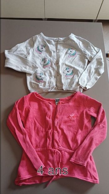 Lot 2 gilets fille