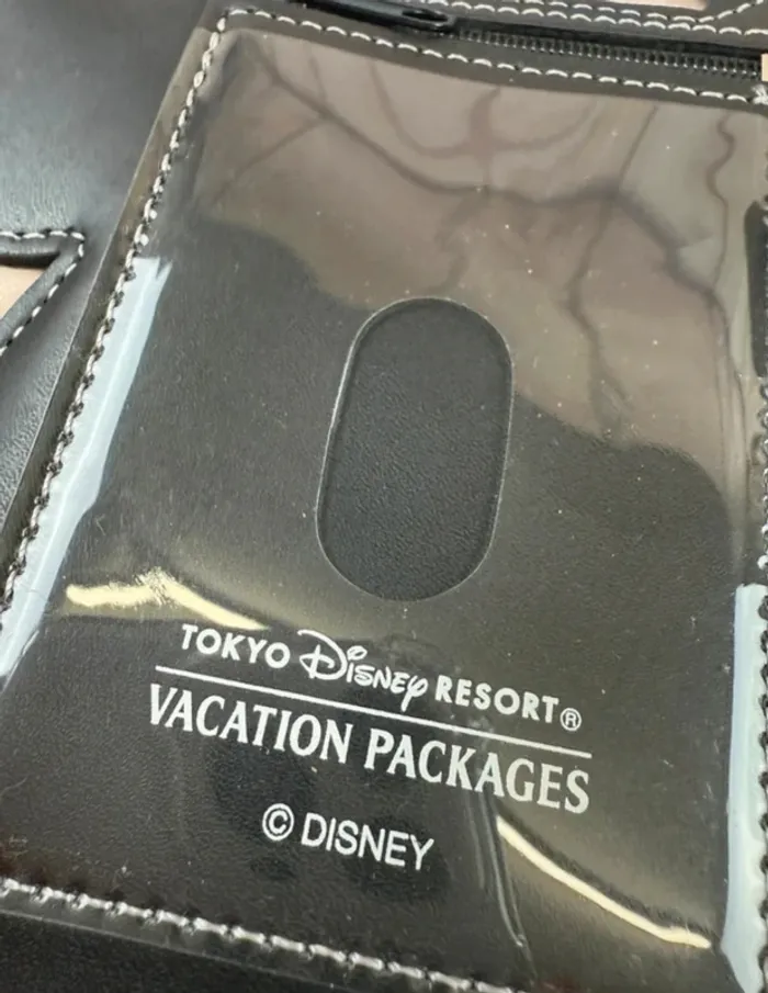 Lanière porte pass annuel (ou magic pass) disney Tokyo Disney resort Japon - photo numéro 9