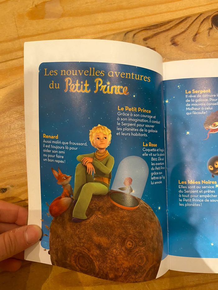 Le petit prince au secours se la rose - photo numéro 5