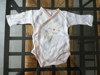 Body lapin et souris