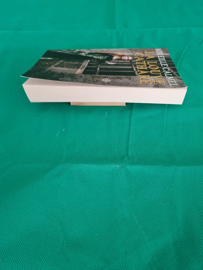 La Louve Cathare Tome 1 Mireille Calmel - photo numéro 3