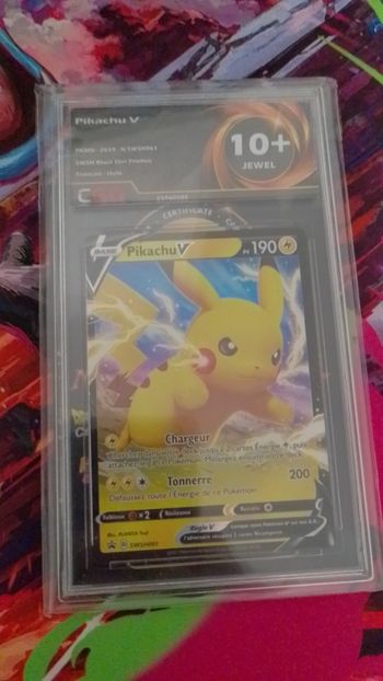 carte gradé pokémon 