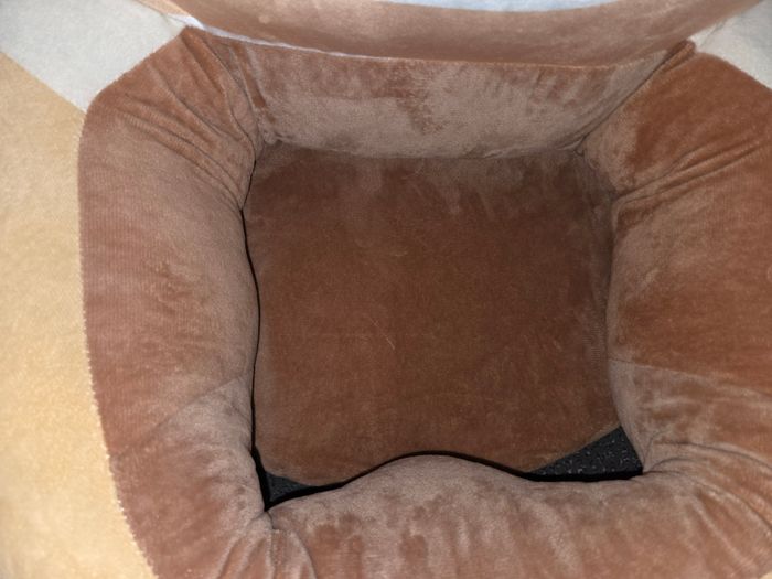 Siège/fauteuil pour bébé - photo numéro 4