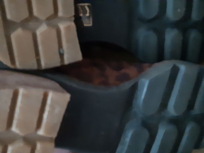 jolies bottines imprimés léopard de la marque espagno "mascaro" etat neuf t 37 - photo numéro 9