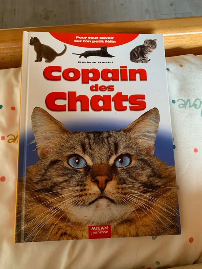 Livre Copain des Chats