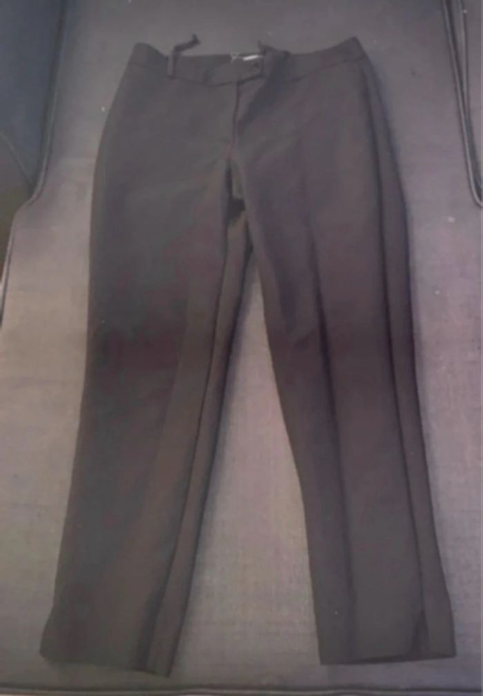 Pantalon tailleur Hippocampe