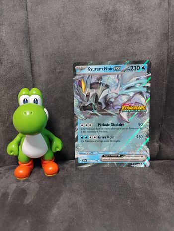 Carte Pokémon Kyurem Noir EX 048/191