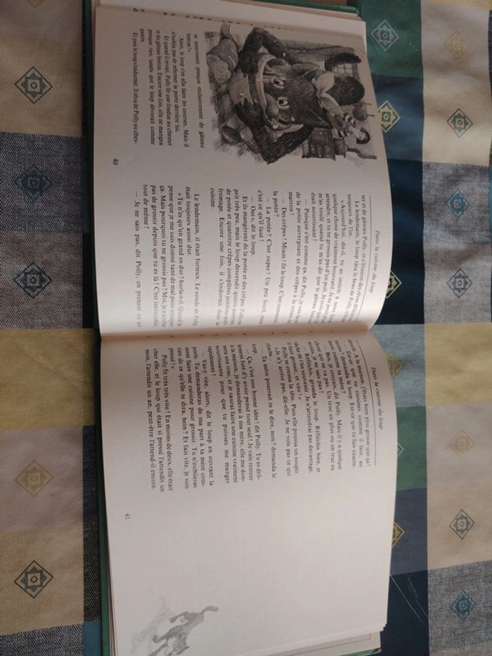 Livre sur le loup - photo numéro 12