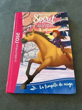 Livre bibliothèque rose Spirit tome 4