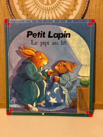 Livre petit lapin le pipi au lit 