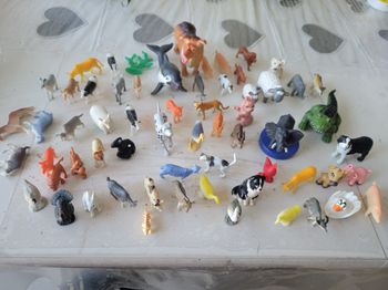 Lot de 61 animaux divers toutes tailles